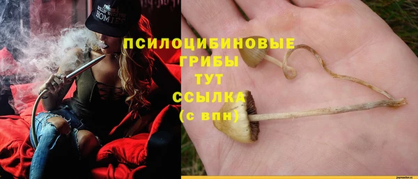 ГАЛЛЮЦИНОГЕННЫЕ ГРИБЫ Абаза