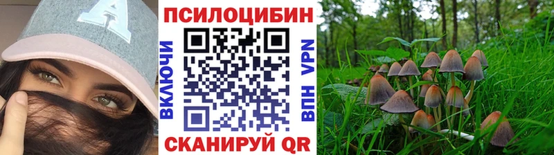 Галлюциногенные грибы GOLDEN TEACHER  цена наркотик  Динская 